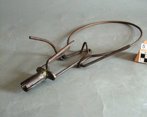 Kuckuck zum Befestigen der Hopfendrähte