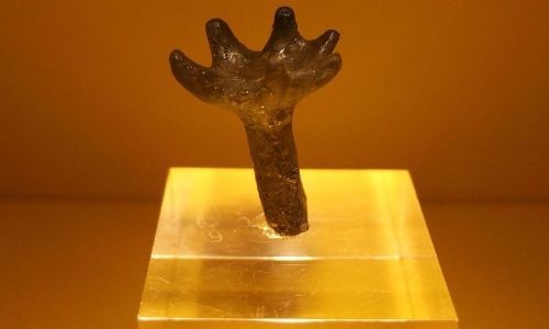 Geweih eines Hasenhirsches in der Dauerausstellung Hasenhirsch und Hundebär