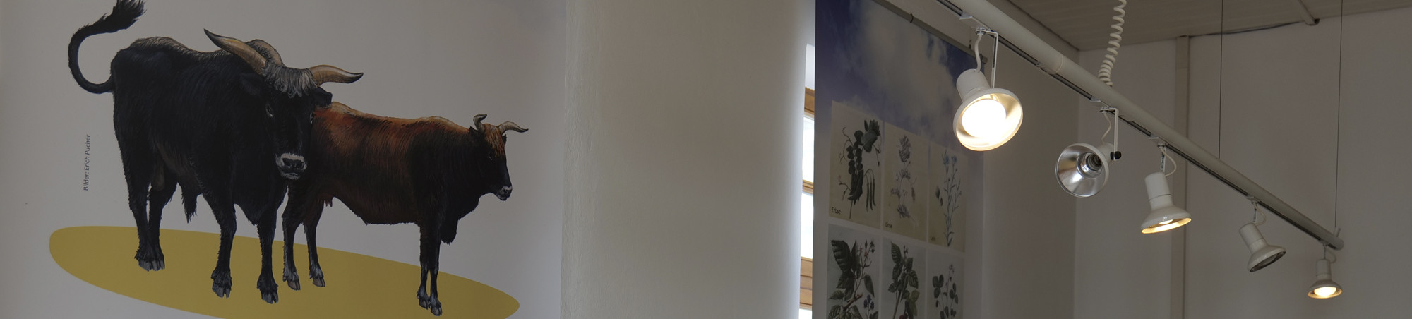 Die Beleuchtung wartet auf den letzten Schliff.