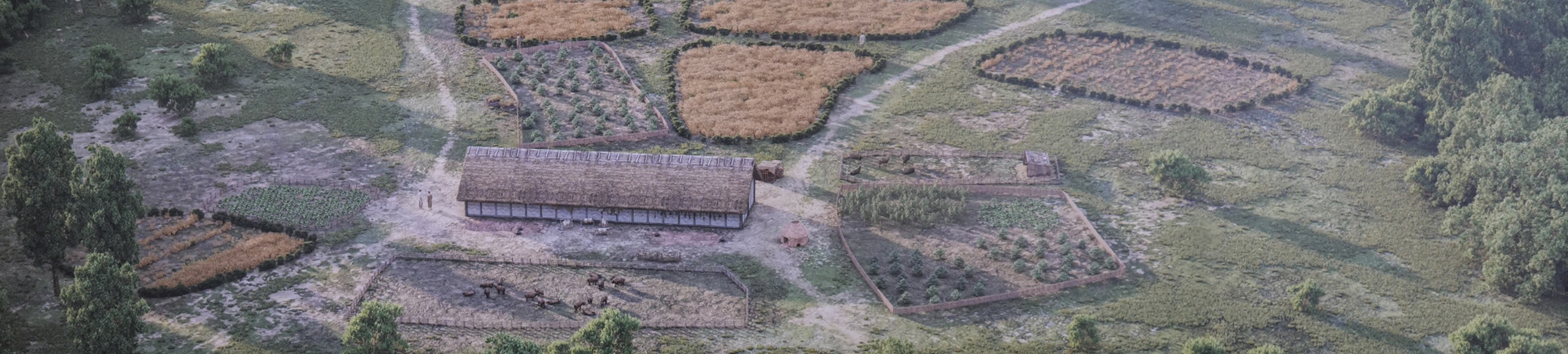 Langhaus zwischen bewirtschafteten und eingegrenzeten Flächen in der Jungsteinzeit