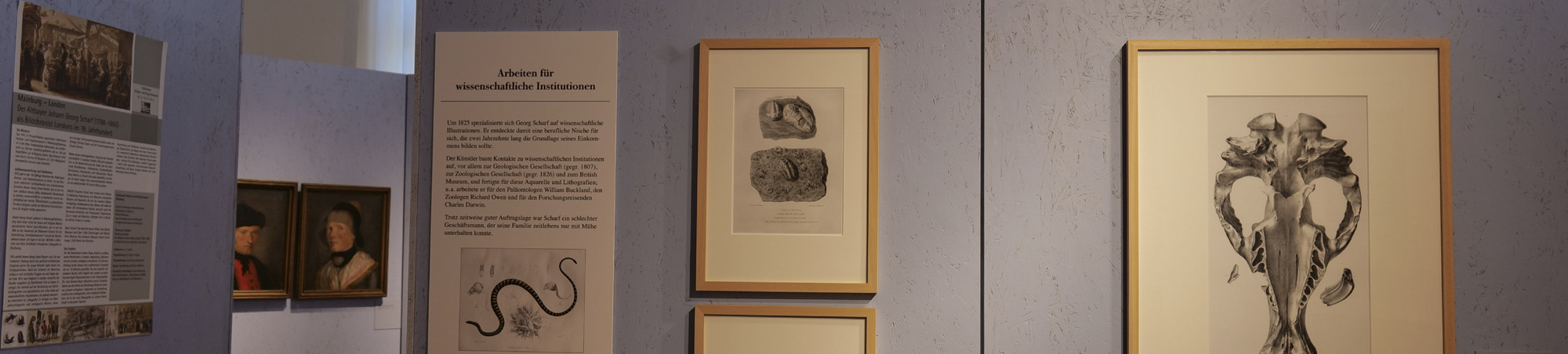 Blick auf den Bereich wissenschaftliche Illustrationen und Lithografien