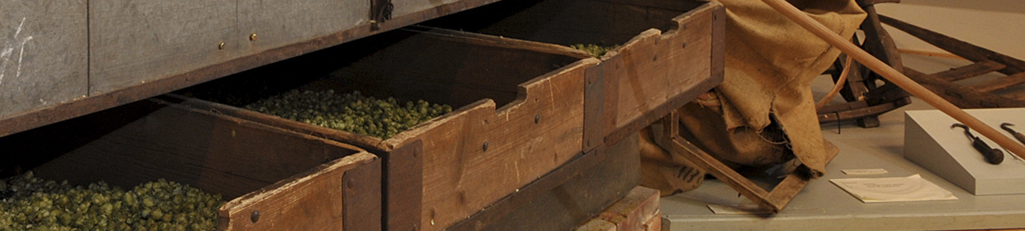 Drei Schubkästen einer Hopfentrocknungsmaschine geöffnet mit Hopfen. Im Hintergrund Säcke und Gerät.
