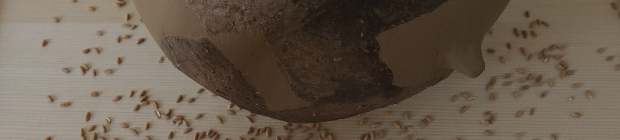 Ausschnitt eines großen rekonstruierten Tongefäßes vor dem Getreidekörner liegen