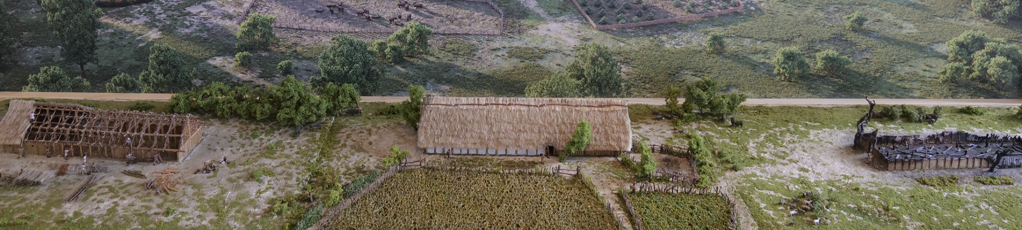links Aubau, mittig fertiges Langhaus, recht abgebranntes Langhaus