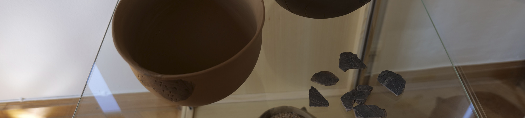 Glasvitrine mit Exponaten