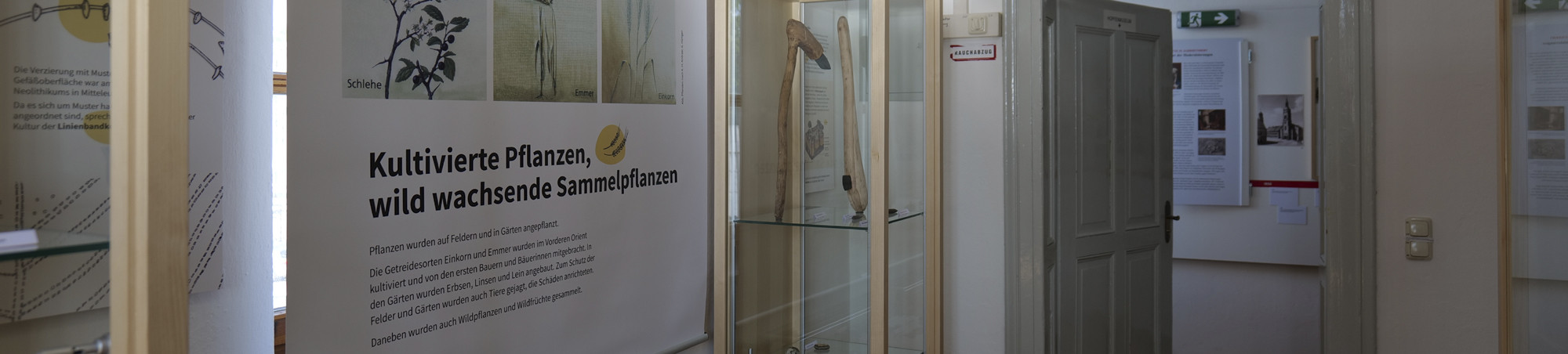 Blick in die Ausstellung, mittig Bannerausschnitt Kultivierung von Pflanzen