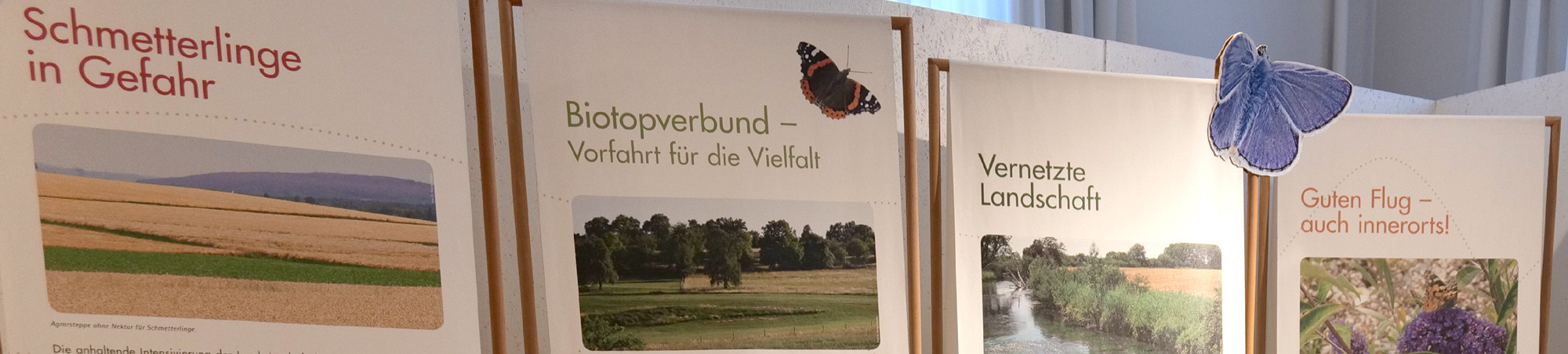 Rollups zum Biotopverbund